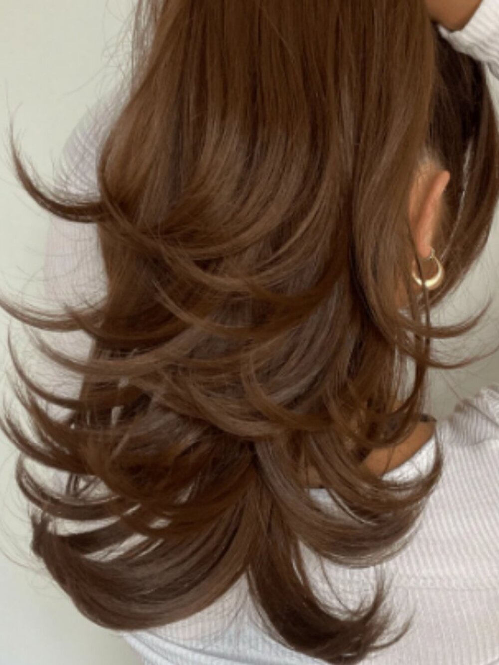 INH Dove ponytail in mixed brown